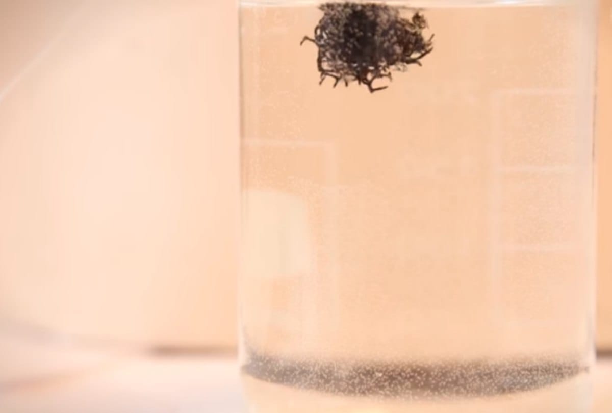Video being viral of tiny sponge detect cancer