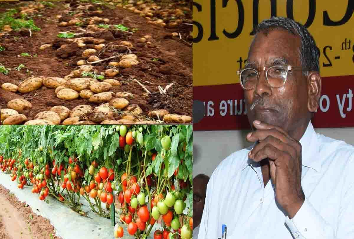 Farmer of Kanpur developed new technique of farming