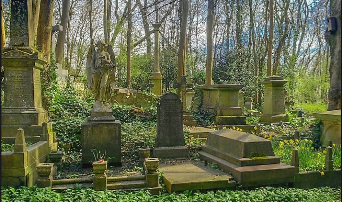 Singing voice comes from grave in uttar pradesh meerut