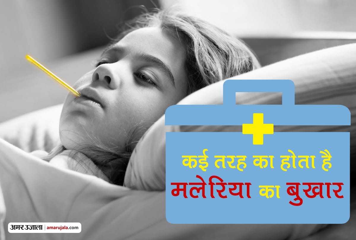 World malaria day malaria symptoms and treatment in hindi