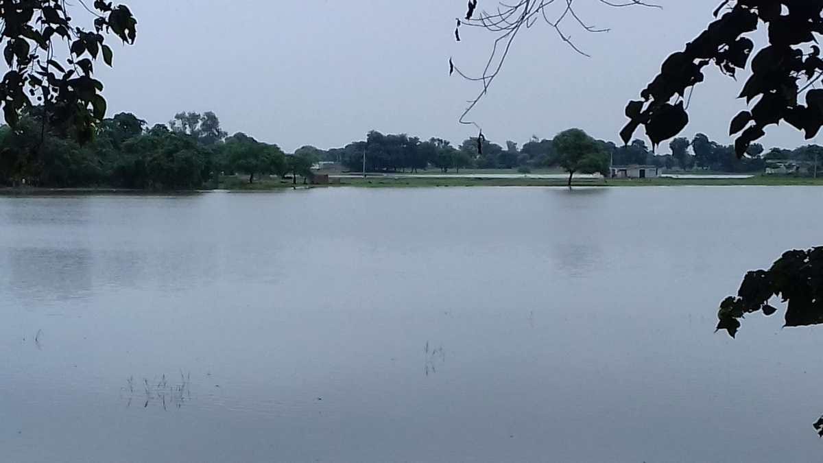 purvanchal rivers water level is going on danger level alert in varanasi by NDRF