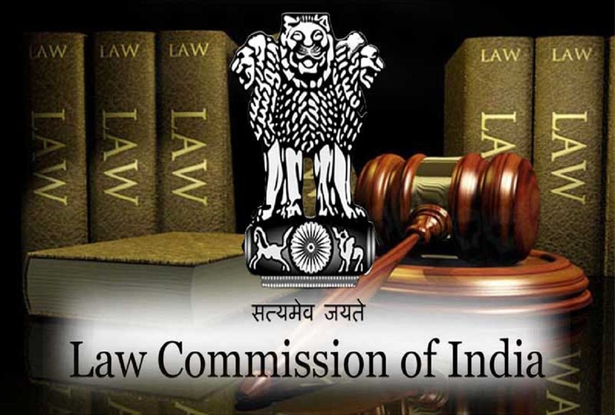 abuse or criticism of country is not anti nationalism, law commission