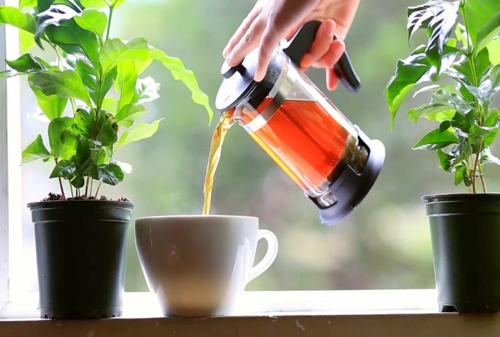 tea and coffee rate in trains.