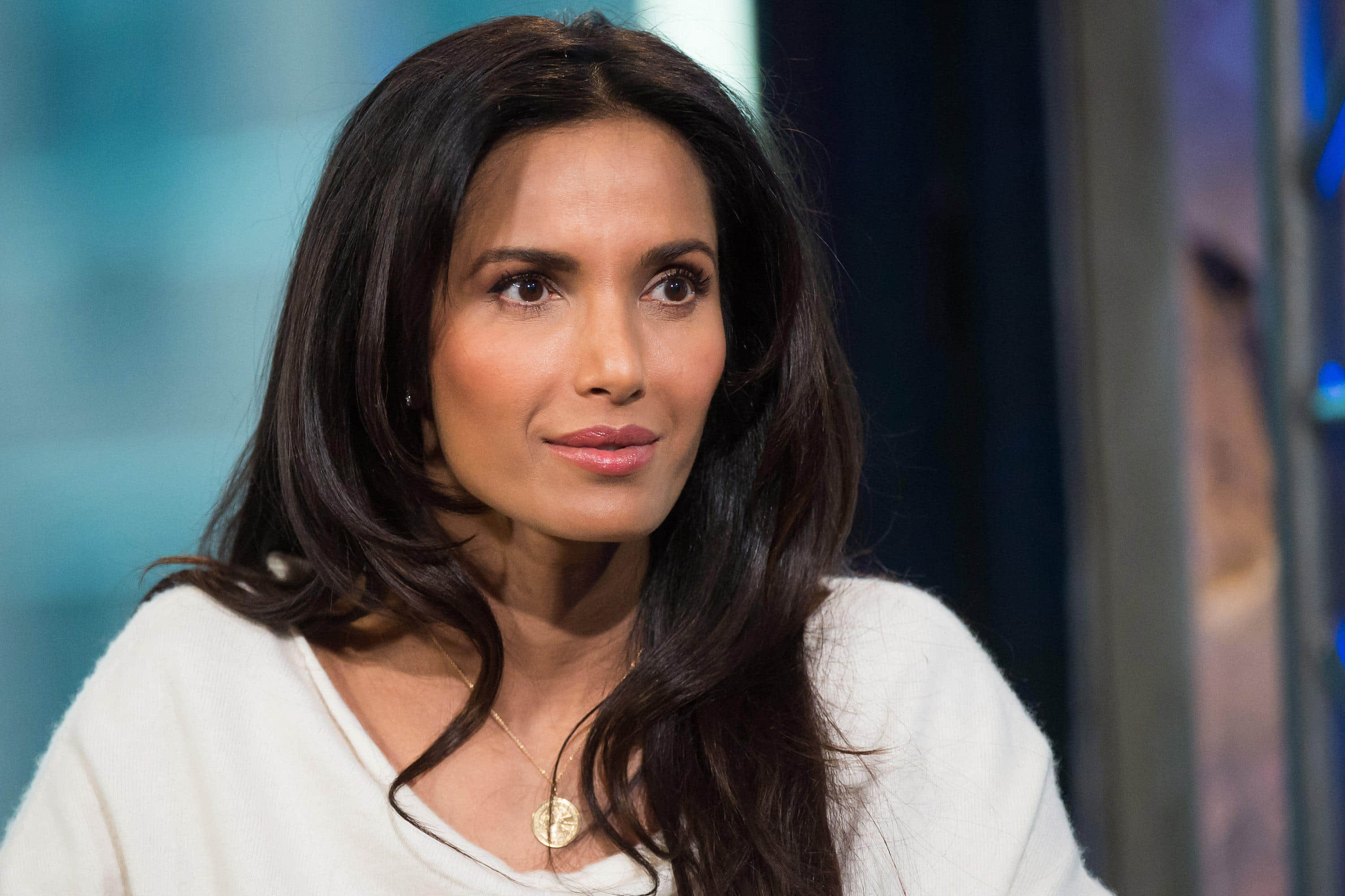 padma lakshmi takes to man who called indian food terrible