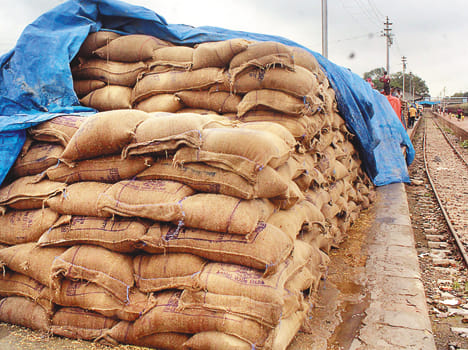 2525 MT wheat kept at the railway station is rotten in the rain