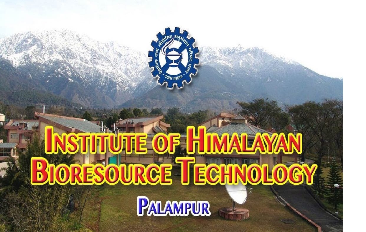 vacancy for post Project Assistant I and II in Institute of Himalayan Bioresource Technology