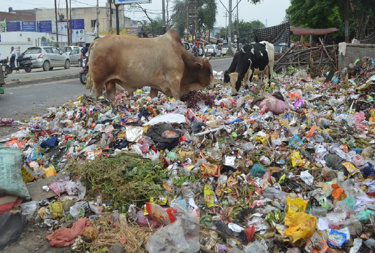 dussehra ten major problems of agra city