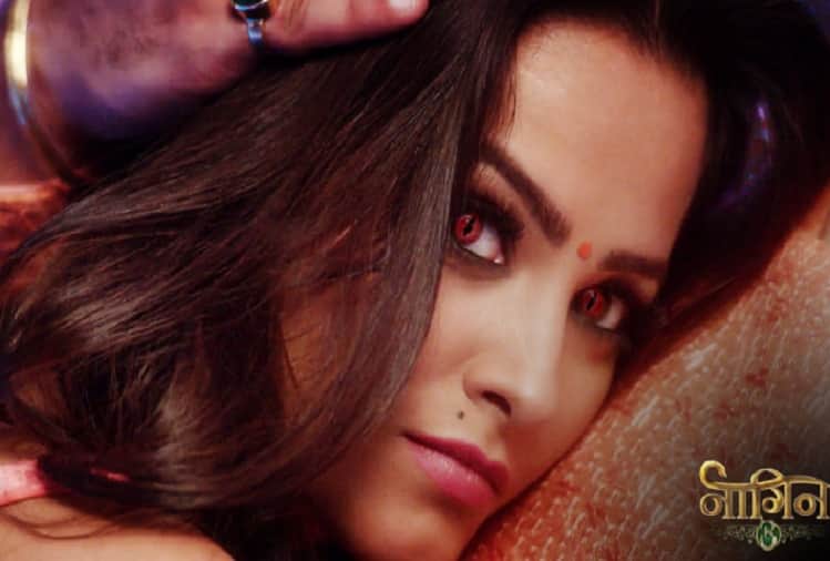 Naagin 3 Yeh Rishta Kya Kehlata Hai and Kundali Bhagya are the Top 10 serials