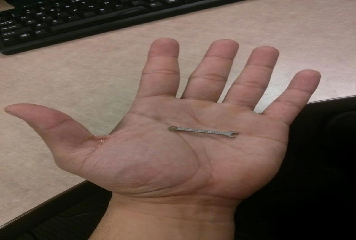 Twenty Photos of the Tiniest Things You will Ever See