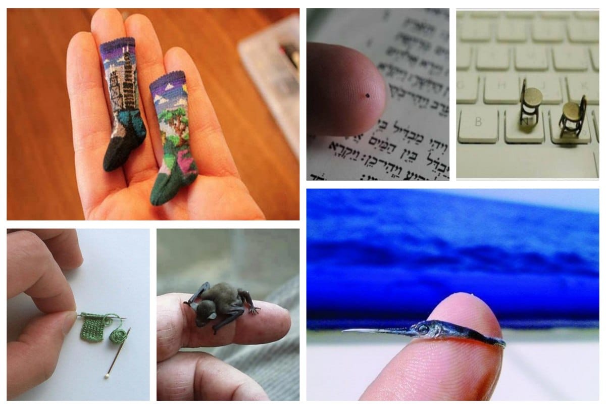 Twenty Photos of the Tiniest Things You will Ever See