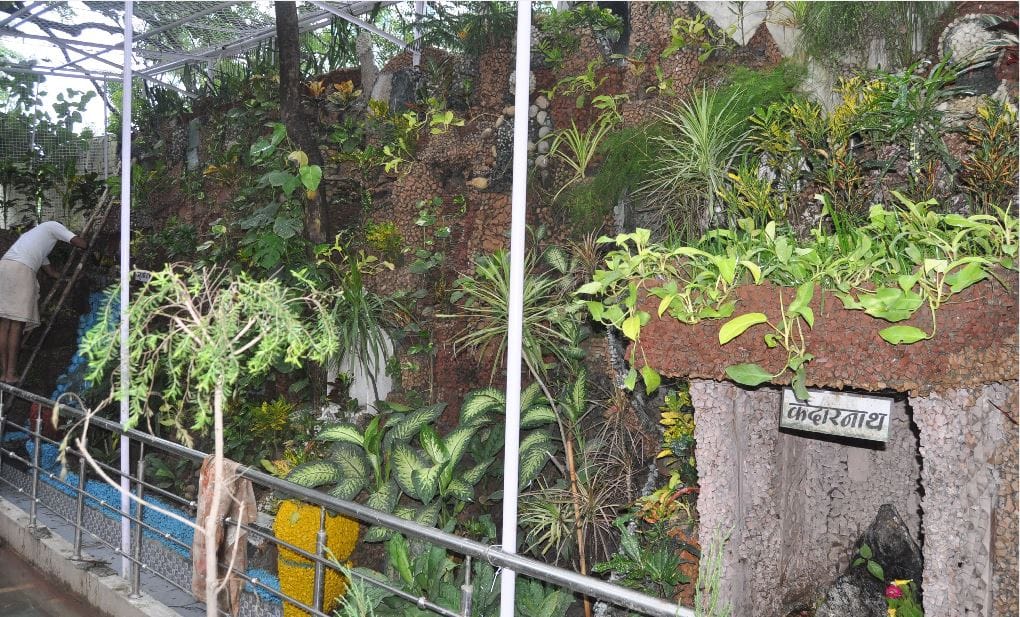 in agra Temples are being decorated with morpankhi in Janmashtami