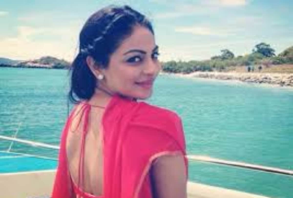 neeru bajwa song laung laachi crossed record 30 crore views