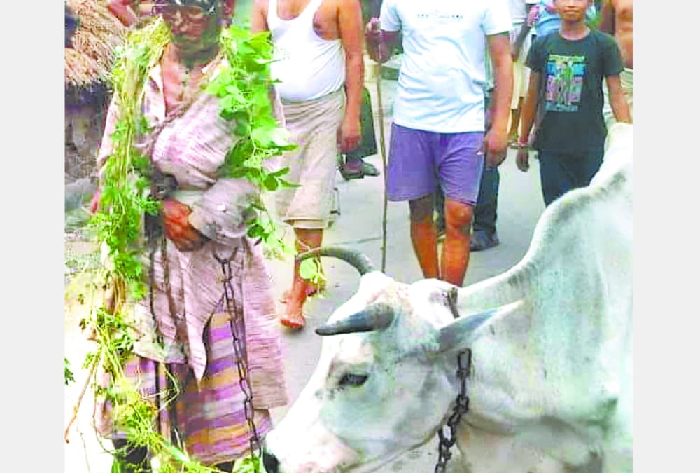An old man beaten by some people for allegedly leaving a cow in balrampur.