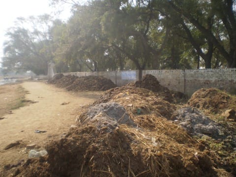 countries first dung free city would be jamshedpur, jharkhand government has announced
