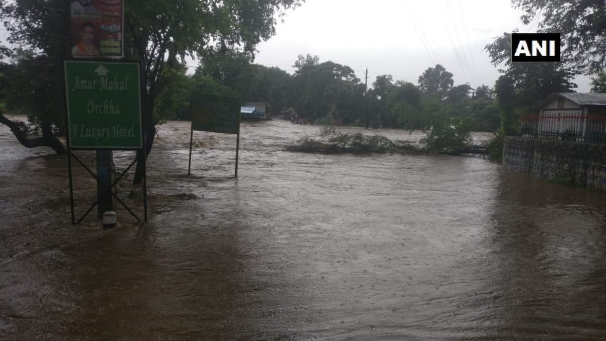 Rivers in Tikamgarh orchha is flowing above normal level, 20 people rescued