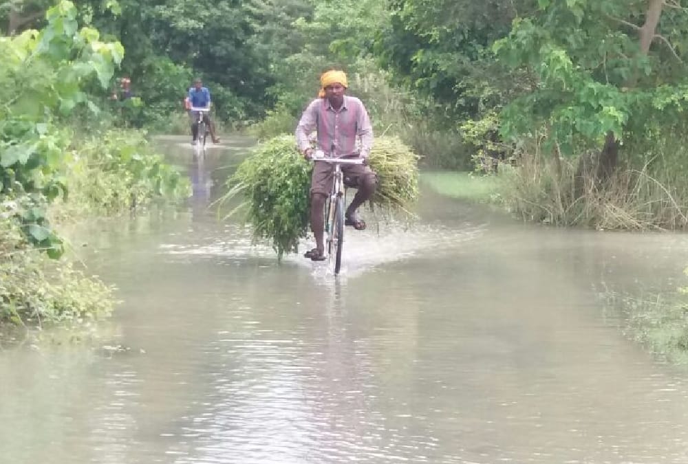 sixteen people died because of weather in uttar pradesh.