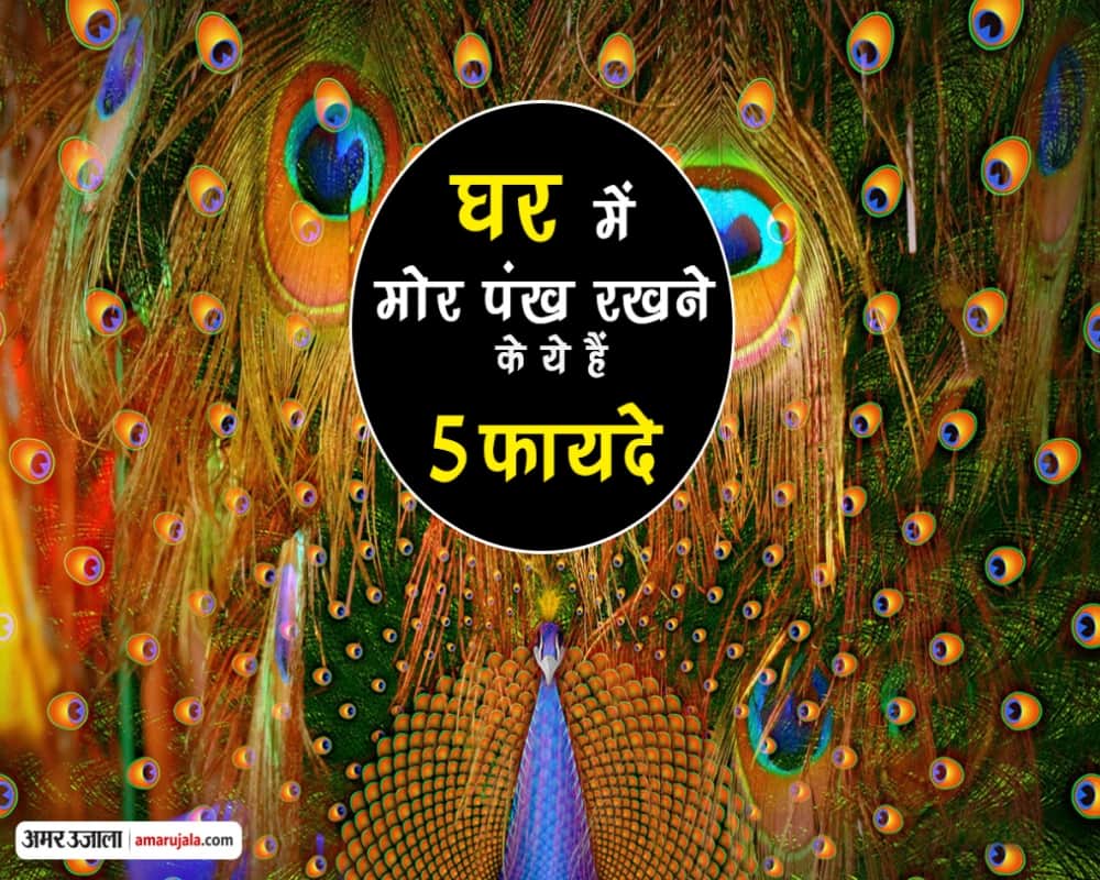Janmashtami Special 2018: Know 5 Divine Aspects of Krishna Peacock Feathers