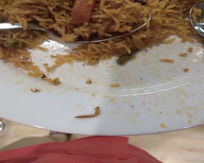 IKEA Restaurant Fined Rs 11,500 After A Customer complaint for Worm In Veg Biryani