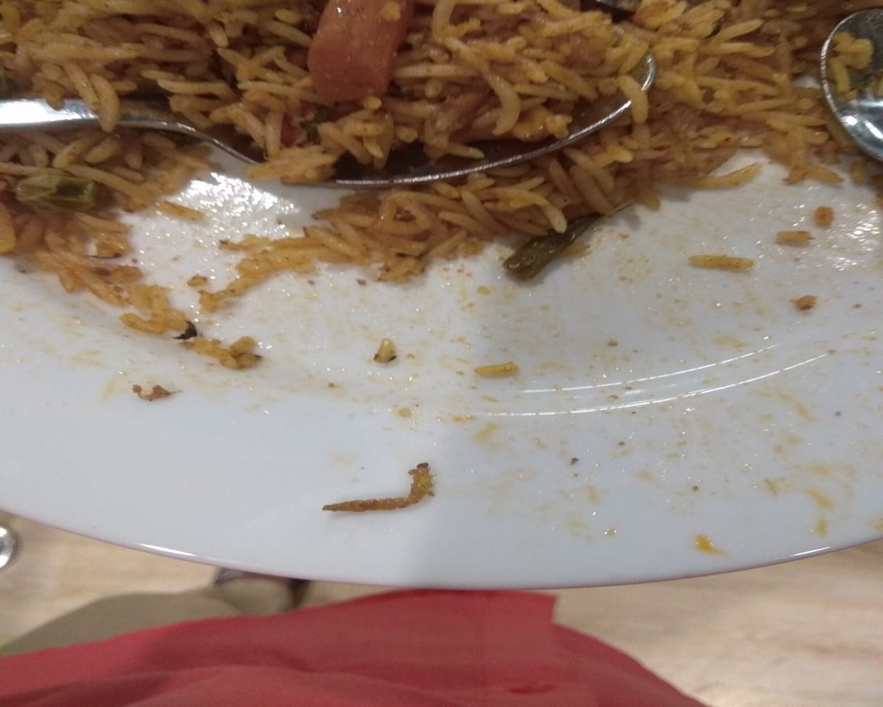 IKEA Restaurant Fined Rs 11,500 After A Customer complaint for Worm In Veg Biryani