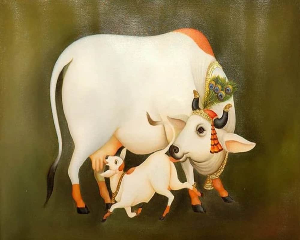 these 11 things makes cow sacred