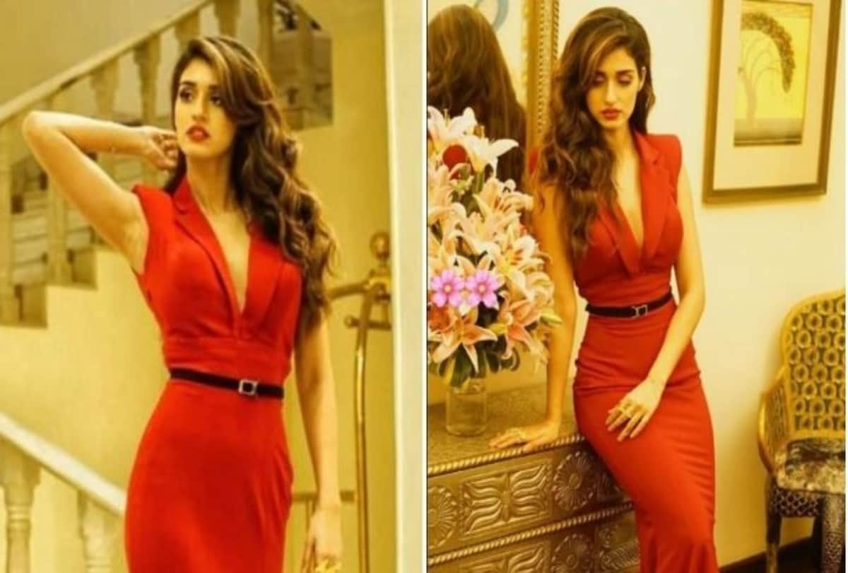 Tiger shroff girlfriend disha patani property net worth