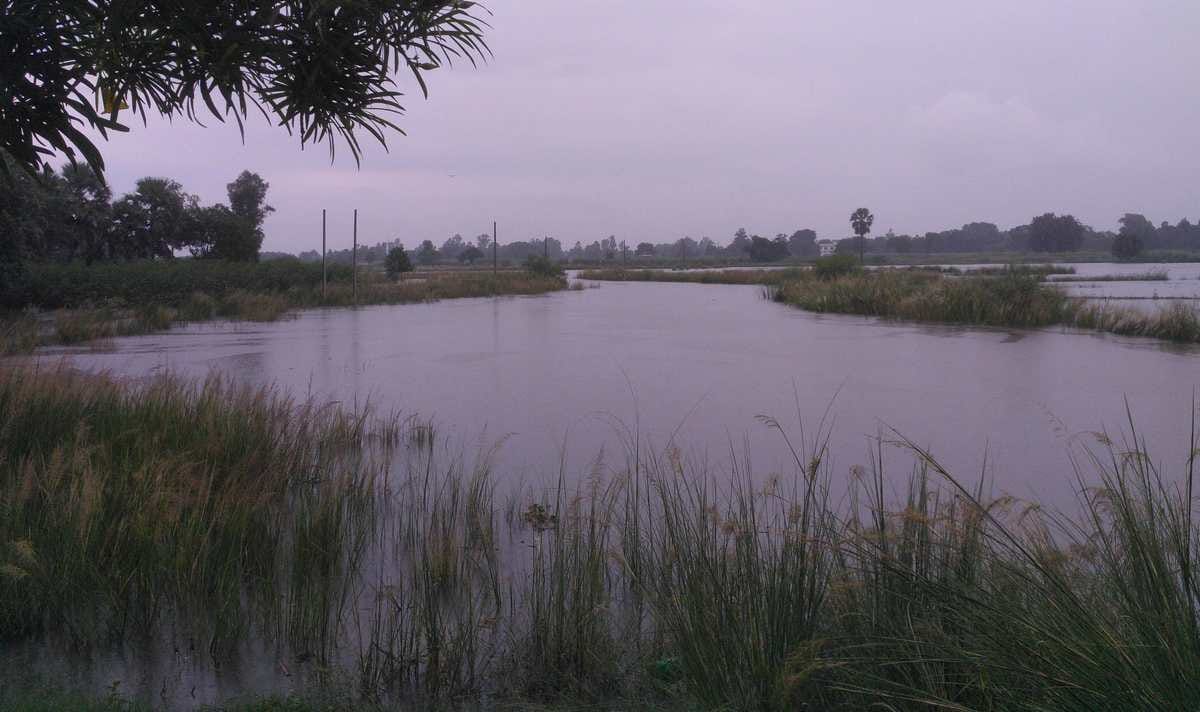 Four people killed due to rain in purvanchal