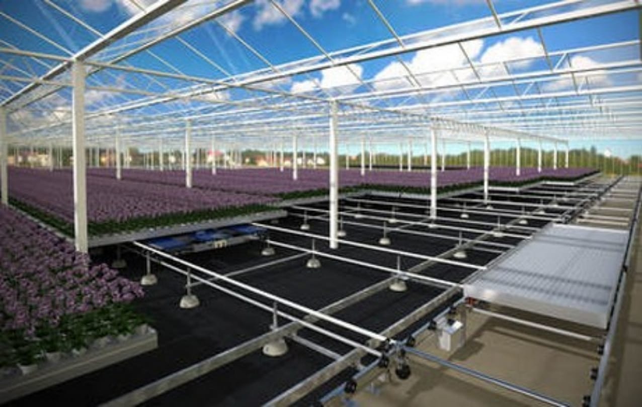 smart farm in tunnel underground, growing 60 different types of fruits-vegetables