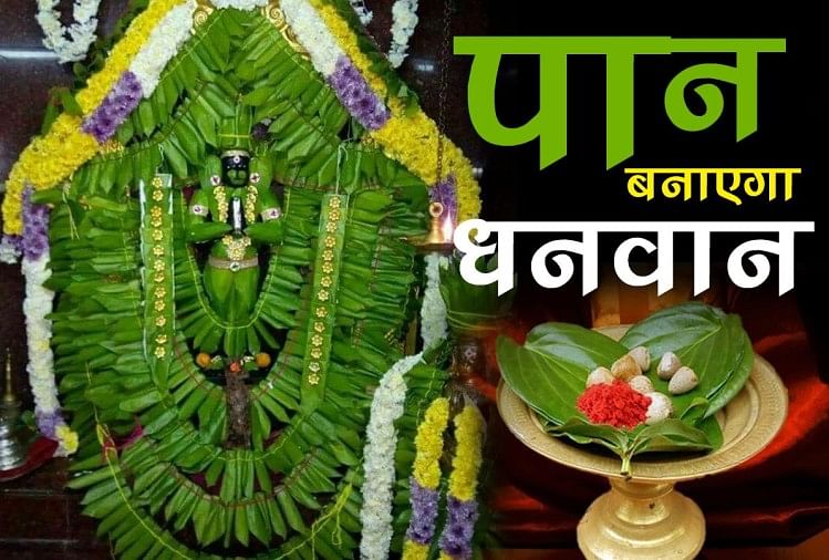 why-betel-leaves-paan-is-used-in-worship-offering-to-god-when-it