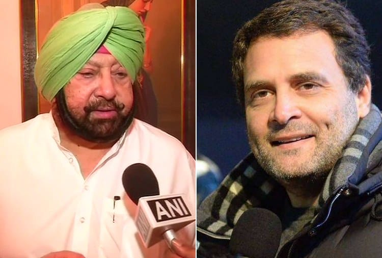 Captain Amarinder Singh Statement on Rahul Gandhi, Congress, Loksabha Election 2019