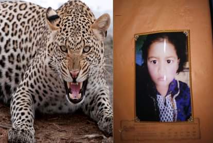 Leopard killed Four Years old girl Dm Crying on her funeral