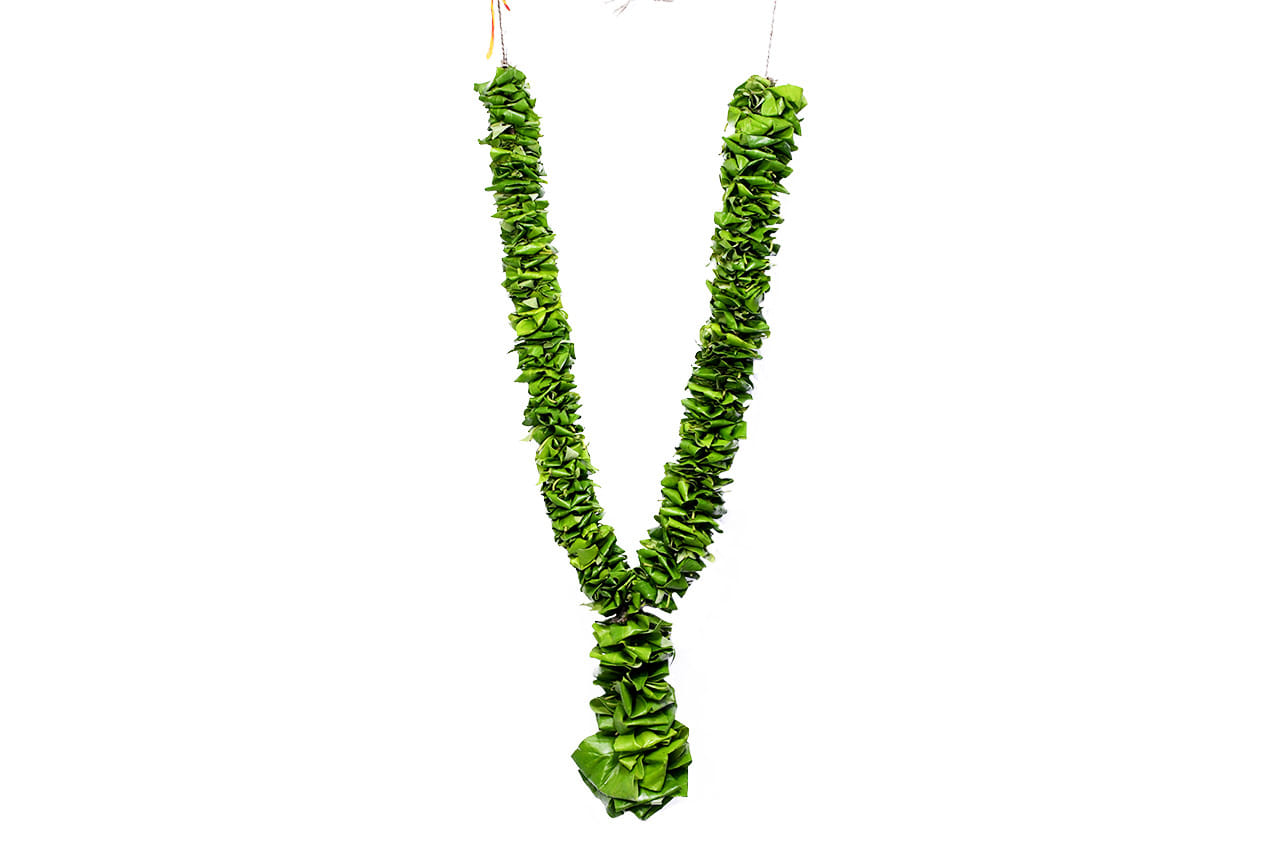 Betel leaf remedies for good luck