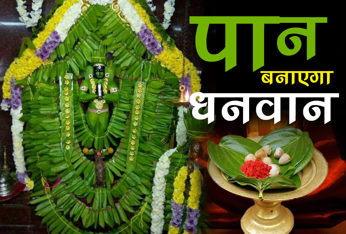 know the benefits of paan leaf