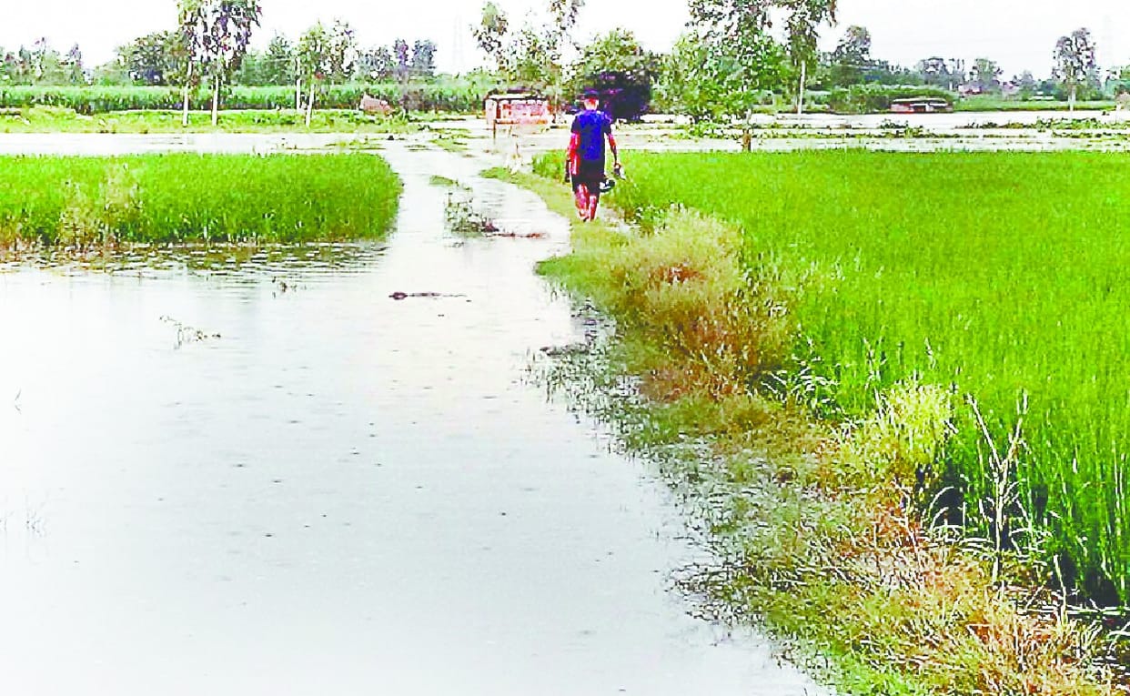 Desbordamiento nuevamente roto Lago Mamn