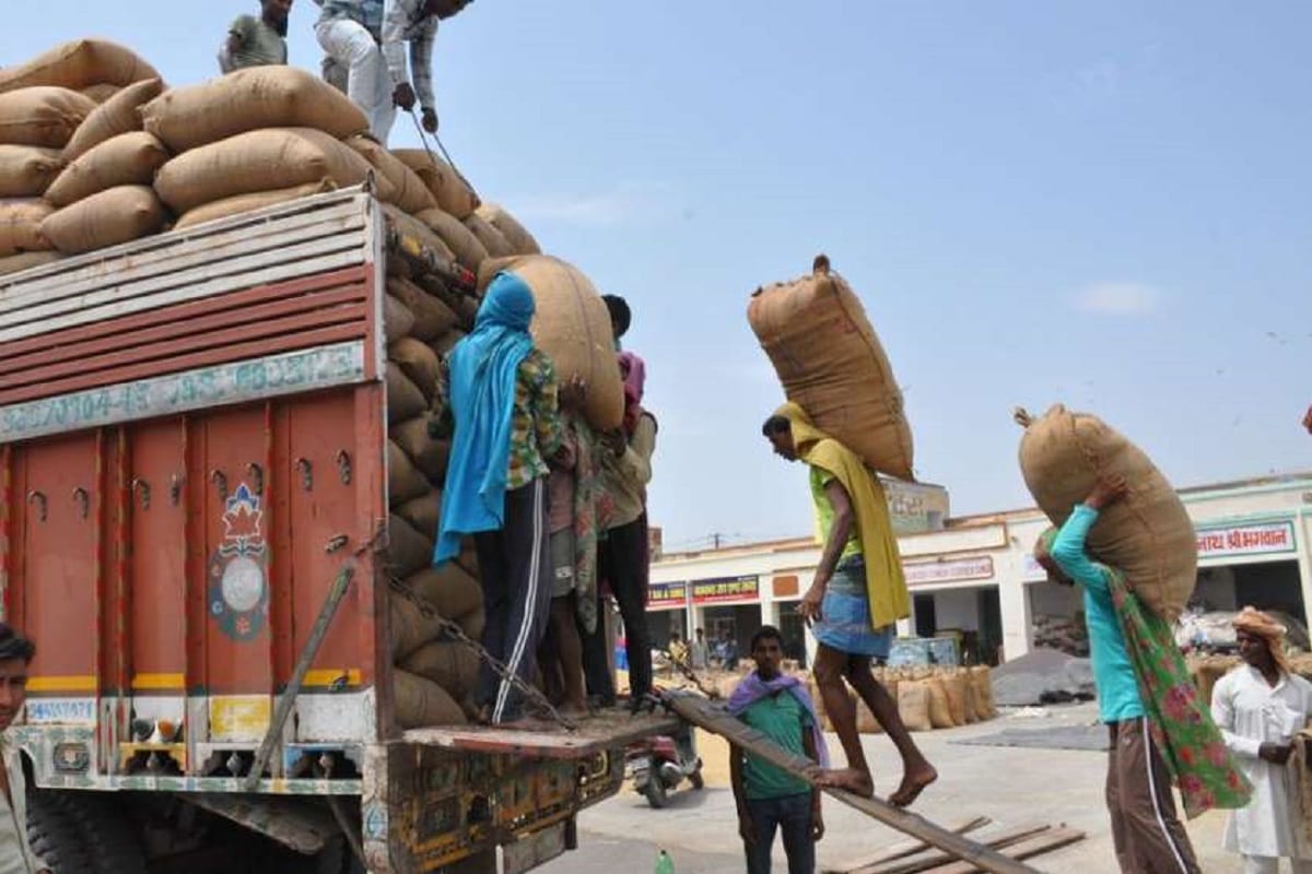 Madhya Pradesh: Hammals refuse to carry more than 50 kg weight in Mandi, strike begins