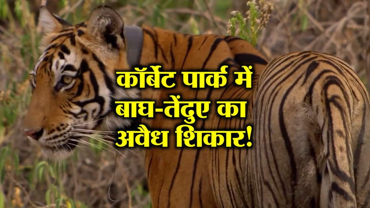 कॉर्बेट पार्क