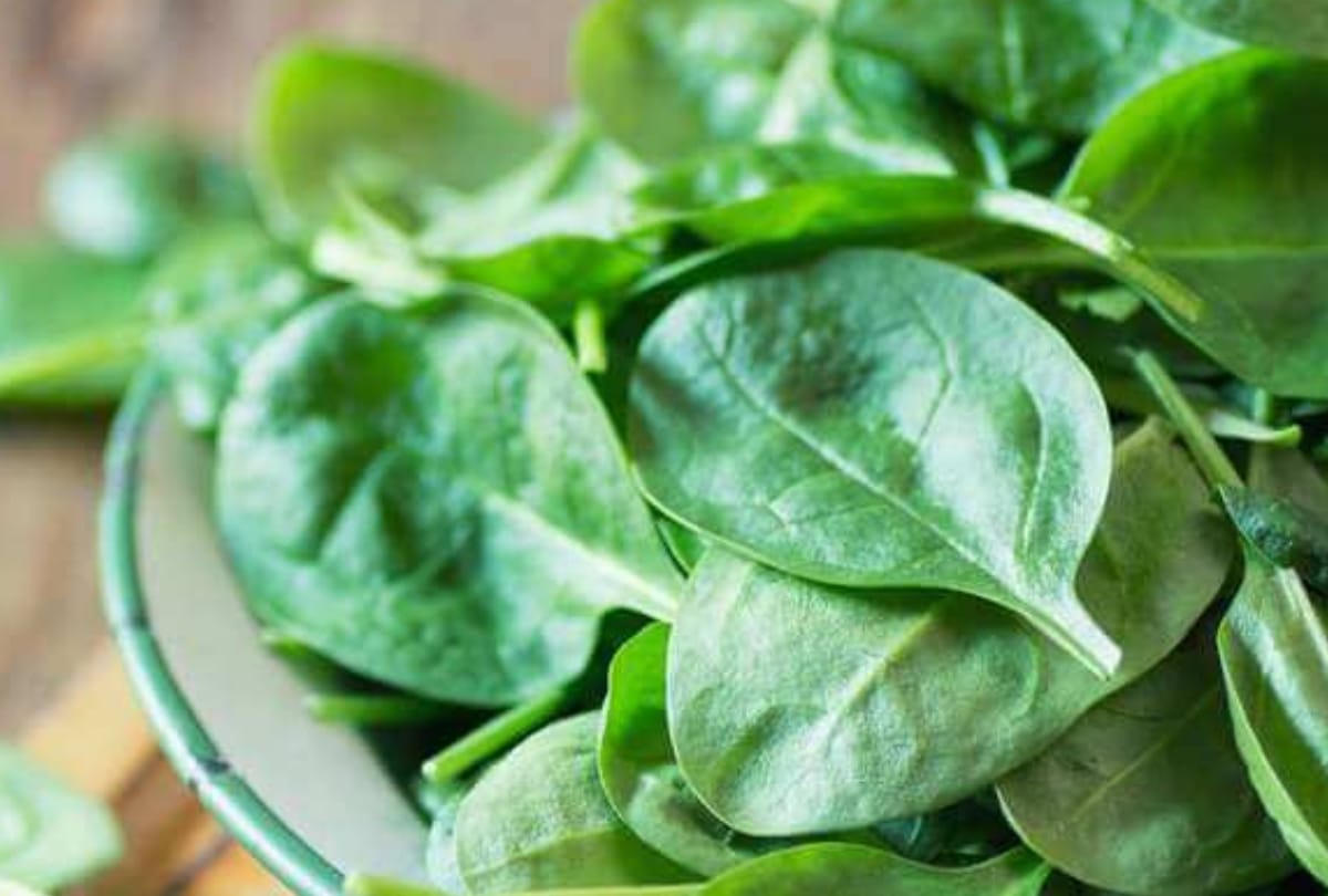 do not put these vegetables and Fruits togeather in Fridge