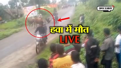 VIDEO: A MAN LOST HIF LIFE DURING HORSE CART RACE IN HUBLI