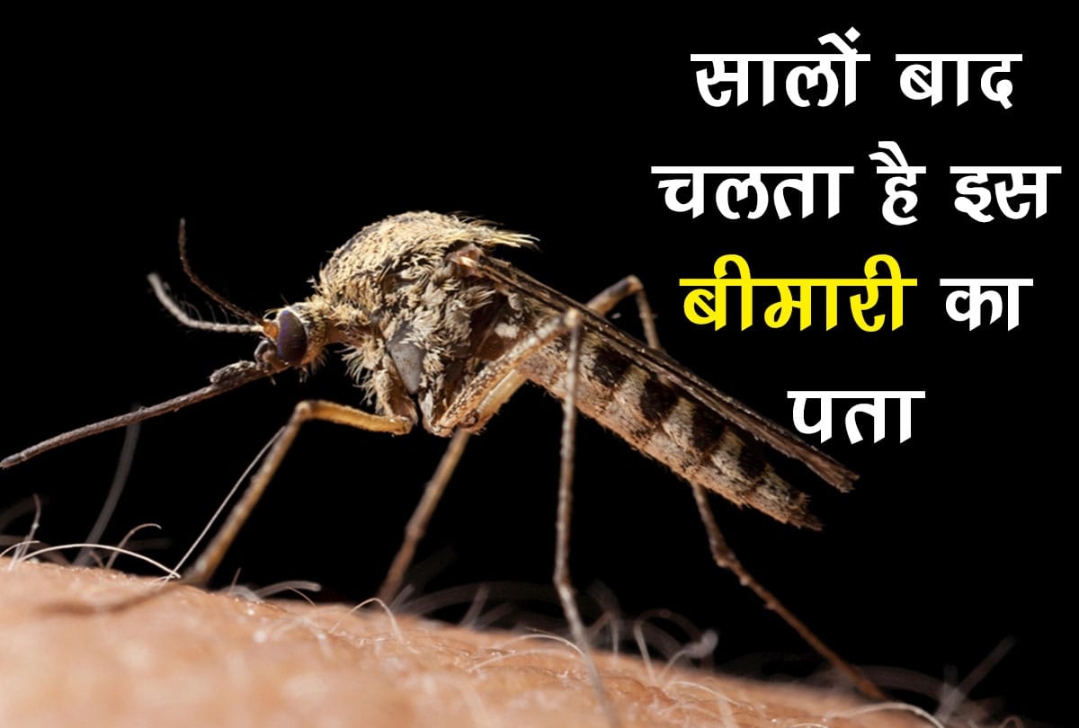 Elephantiasis Filaria: Not only Dengue malaria Elephantiasis Filaria is also caused by mosquitoes