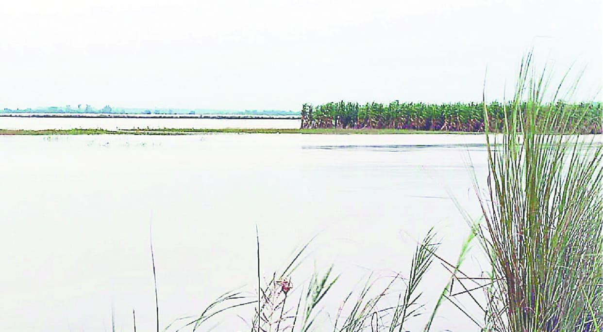 The crack in the dam, the villagers of Hansawala panic