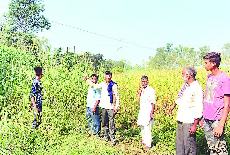 करंट से मौत के मामले में एफआईआर