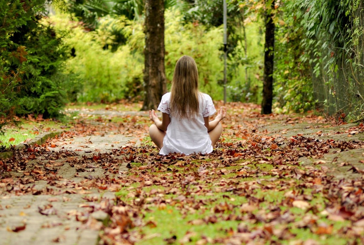 Know the Forest therapy to relieve stress in Japan