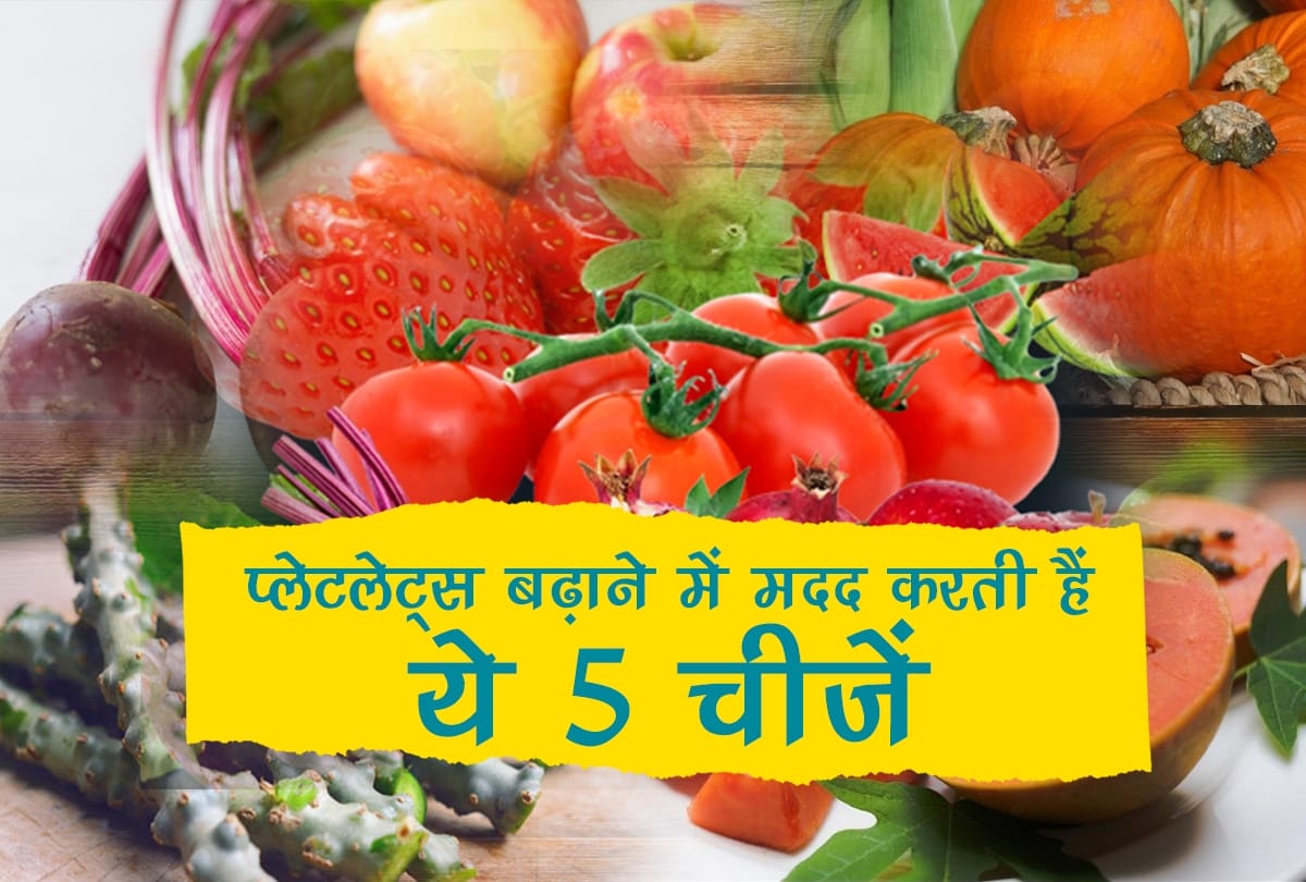 Dengue: Best Foods to Recover From Dengue Fever by increasing platelets in blood