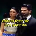 शाहिद कपूर