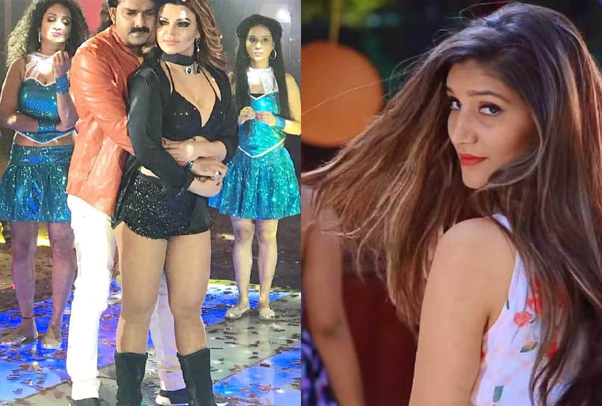 top five news of Bhojpuri cinema
