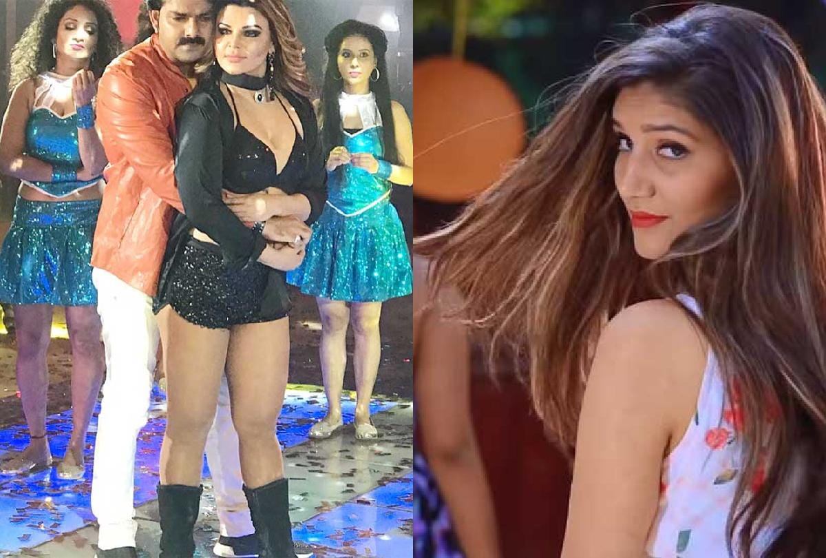 top five news of Bhojpuri cinema