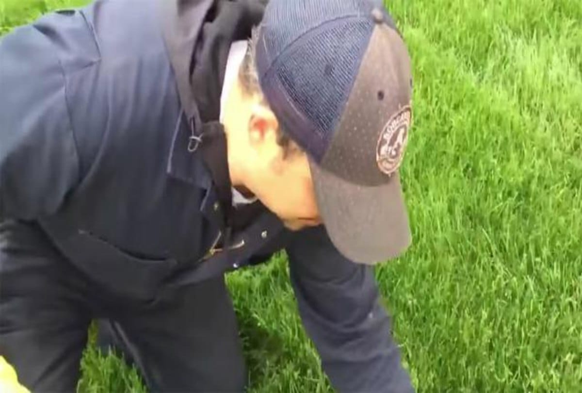 If you ever see this brown spot in your yard back away immediately and call for help