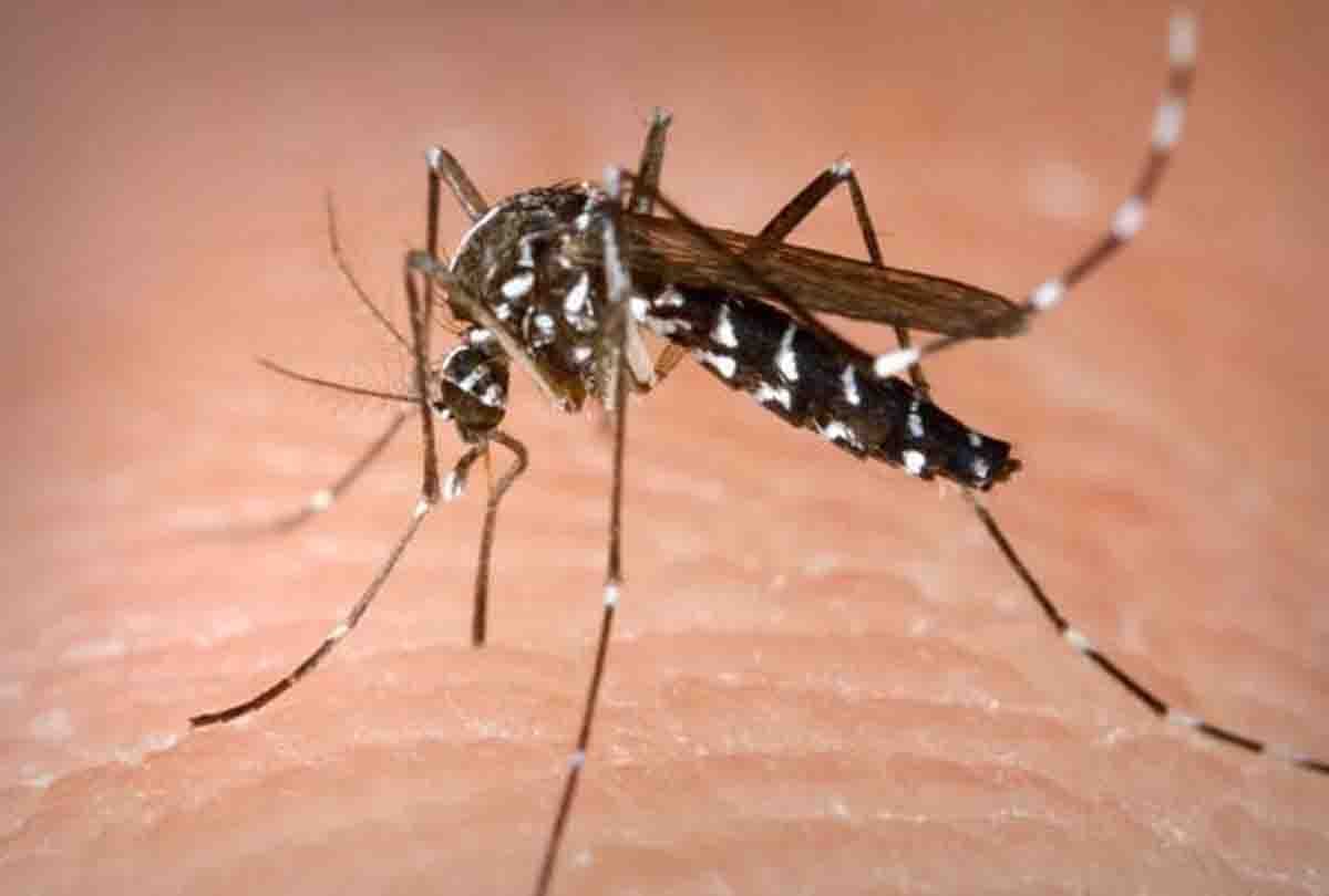 100 patients of fever and three Dengue patients found in flood affected area
