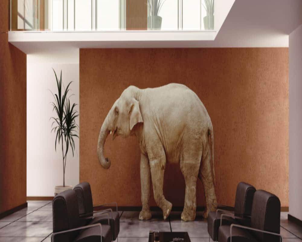 Feng Shui says Using Elephant As Part Of Your Home Decor can bring good luck and money