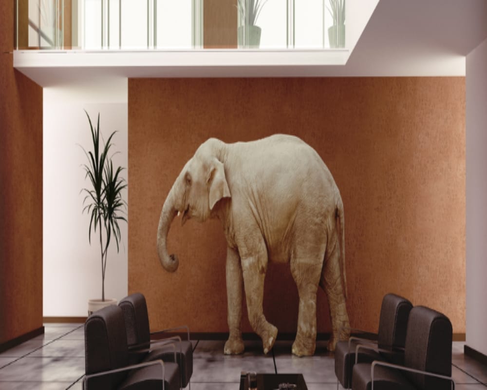 Feng Shui says Using Elephant As Part Of Your Home Decor can bring good luck and money