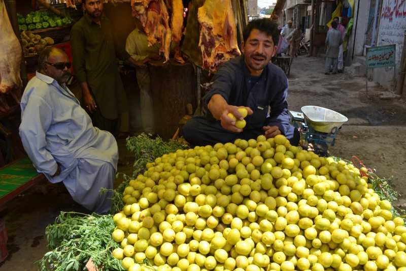 Pakistani Lemons Farming in India to Earn Money